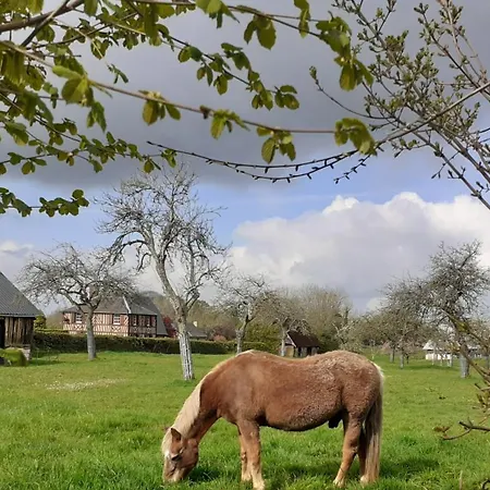 Au P'tit Jardin Pensión