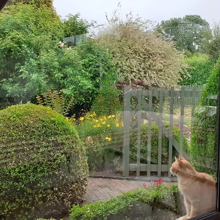 Pensión Au P'tit Jardin