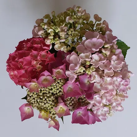 Pensión Au P'tit Jardin Saint-Sylvestre-de-Cormeilles